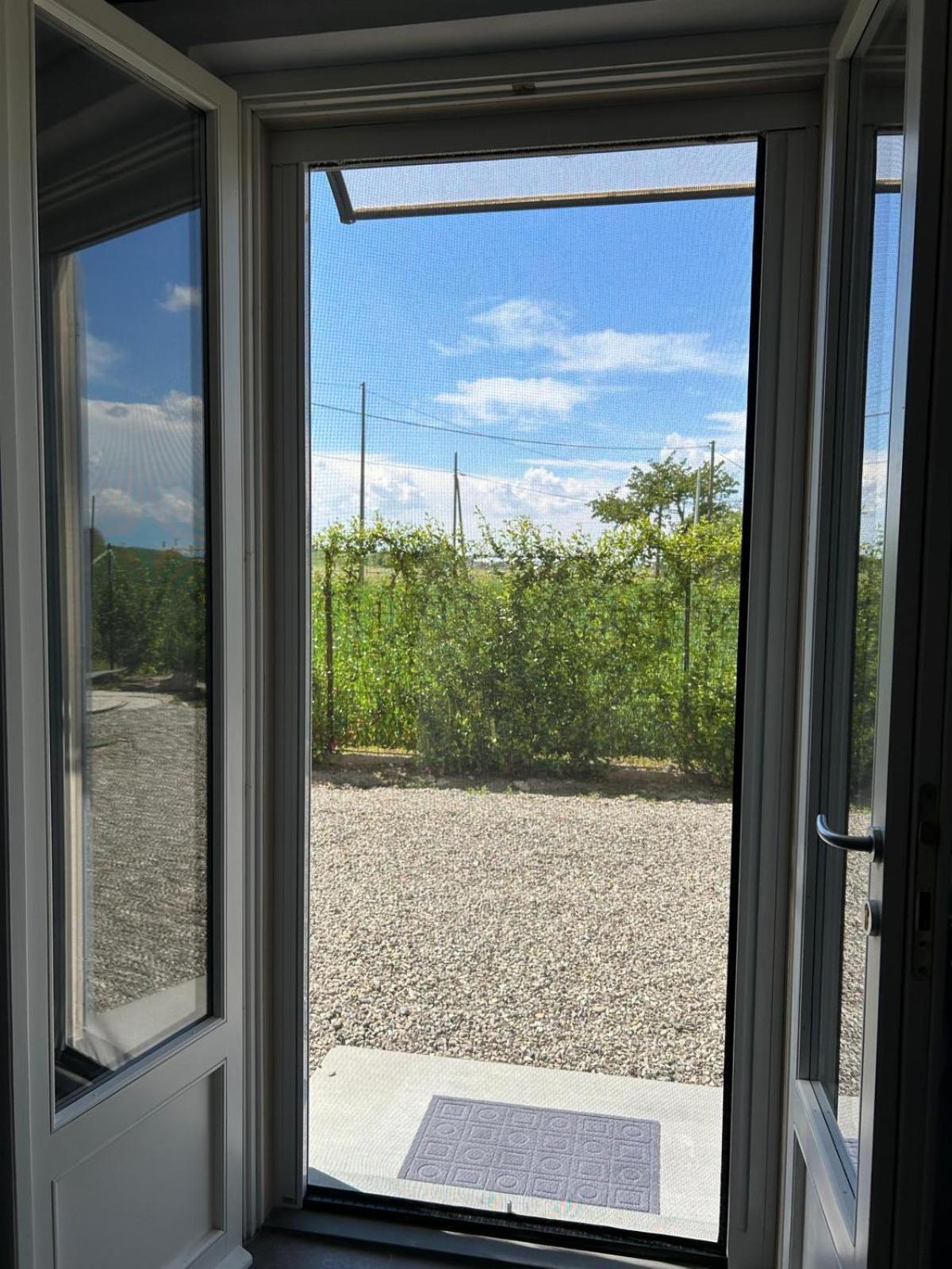 B&B Il Gelsomino Fontanelle di Roccabianca Exterior foto